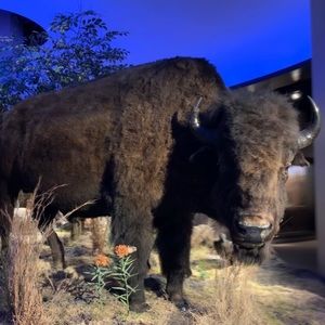 Meet your Posher, Ghassem